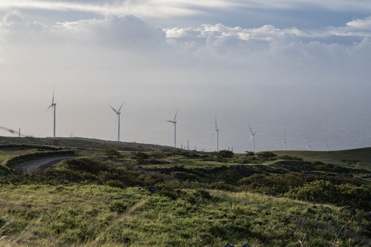 Wind turbines generating renewable energy